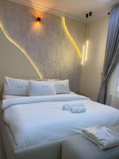 Luxurious 4 Bedroom Apartment in Victoria Island - 5