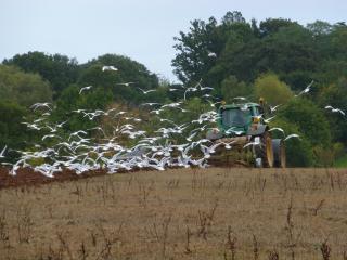 Courtbrook Farm - Exeter - 9