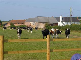 Courtbrook Farm - Exeter - 8