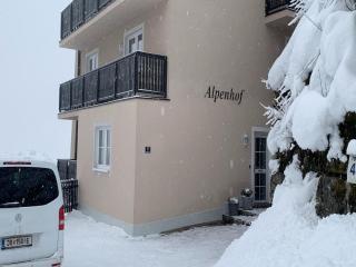 Lavish apartment nearby tourist attractions - Bad Gastein - 6