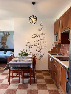 Apartament BB II koło Cerkwi z garażem - Krynica-Zdrój - 8