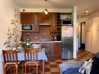 Apartament BB II koło Cerkwi z garażem - Krynica-Zdrój - 6