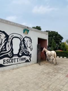 Escott Farms - - 7