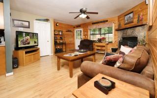 TN Bear Den - Sevierville - 3