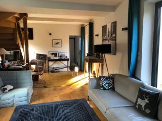 Farm with view, horses and castles, plain nature - La Ferté-Saint-Cyr - 0