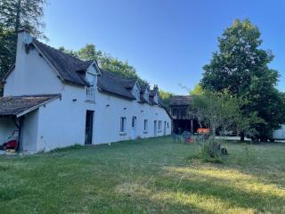 Farm with view, horses and castles, plain nature - La Ferté-Saint-Cyr - 5