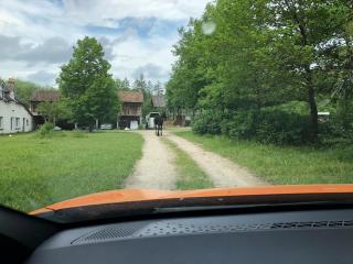 Farm with view, horses and castles, plain nature - 2