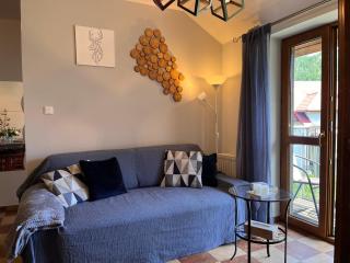 Apartament BB II koło Cerkwi z garażem - Krynica-Zdrój - 4