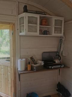 Ränduri Pesa Paiveli koplis - 5