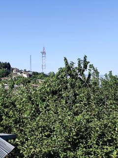 The Walley Shaki Mountinn - 2