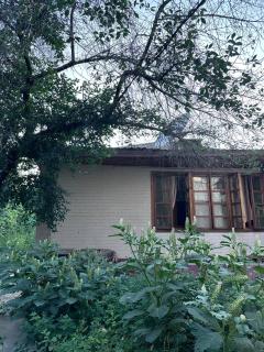Freedom hostel - Almaty - 2