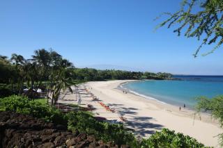 ❤PiH❤ Hawaiian Elegance Short walk to best beaches Heated Lap Pool Spa - Waimea - 2