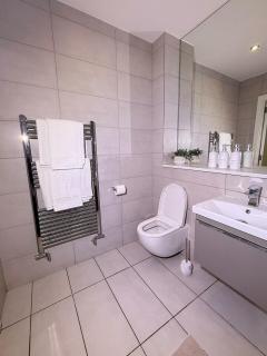 Modern & Stylish 1 Bedroom Flat in Solihull - Solihull - 4