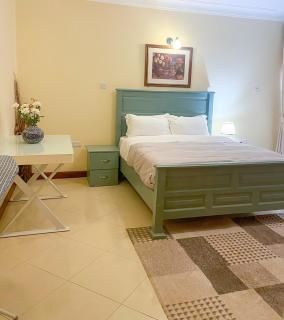 Cozy flat in Bukoto Fast Wi-Fi - Kampala - 8