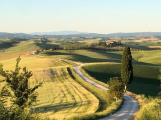 Tenuta di Corsano - Monteroni dʼArbia - 5