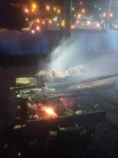Delo pine nest campsite - Kalimpong - 1