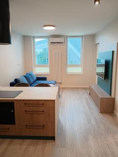 Vip Apartamenty Podpromie - Rzeszów - 8