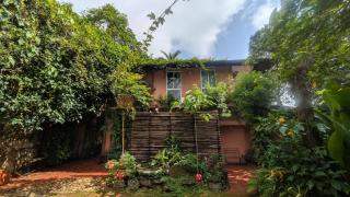 Little Flower Farms - Vagamon - 0