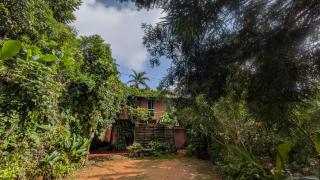 Little Flower Farms - Vagamon - 5