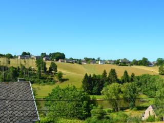 Appartement Terrasse Jacuzzi - Froidchapelle - 3