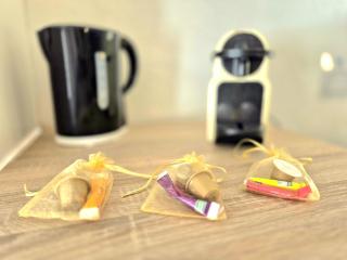 Le petit Nid - coeur de ville - clim - 6