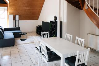 Grosse Galerie-Wohnung Airport Messe Stuttgart - Balkon - Parkplatz - Filderstadt - 1