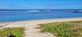 T3 panoramic en front de mer - Saint-Pierre - 2