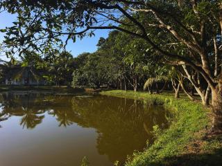 The Shenu Lake House - Private 4-Bedroom Pool Villa - Dandugama - 8