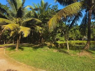 The Shenu Lake House - Private 4-Bedroom Pool Villa - Dandugama - 6
