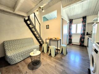 Le petit Nid - coeur de ville - clim - 0