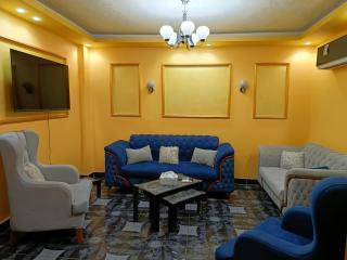 Ultra superlux furnished apartment 24h security - Il Cairo - 0