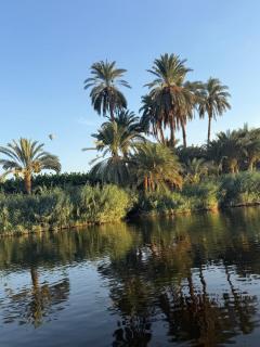 Luxor Old Nile Hotel - Luxor - 4