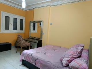Ultra superlux furnished apartment 24h security - Il Cairo - 2