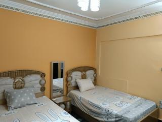 Ultra superlux furnished apartment 24h security - Il Cairo - 4