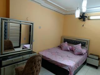Ultra superlux furnished apartment 24h security - Il Cairo - 1