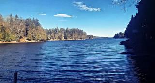 Labelle Lakefront, Spa, BBQ, Dock, Gazebo & Views - Labelle - 2