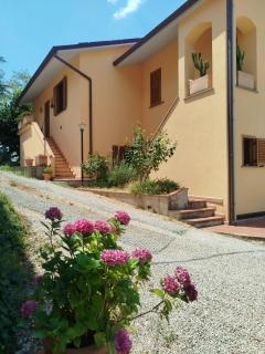 Lattrazionedelgeco - Terni - 9