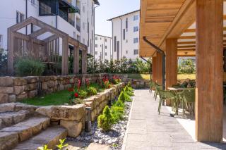 Forest Green & Spa - 1