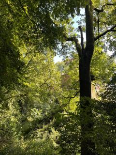Le Crévy - Gîte La Calèche - 3 pers - La Chapelle-Caro - 3