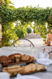 Elaia's Seaside heaven - Elia Laconias - 2