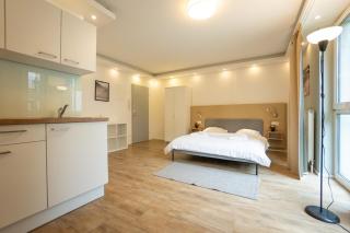 Urban Studio with Queen-Size Bed, Self Check-in - Vienne - 4