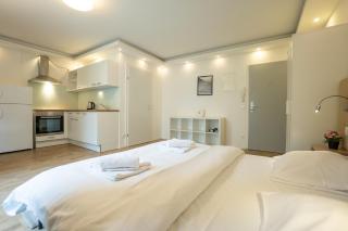 Urban Studio with Queen-Size Bed, Self Check-in - Vienne - 7