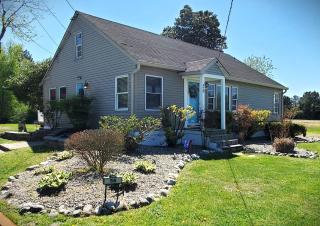 Lighthouse Cottage- Pet Friendly & Close to beach - Selbyville - 4