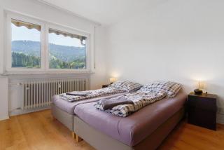 Ferienwohnung am Braunberg - Oppenau - 1