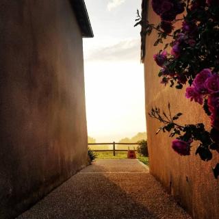 Gîte équestre - La Roche-Posay - 7