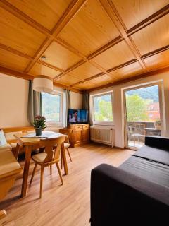 Apartment Gastein 2 - Bad Gastein - 0