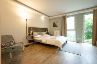 Stay Well Studio with Queen-Size - Vienne - 2