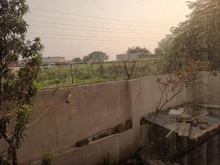 Gene B&B - Islamabad - 6