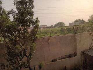 Gene B&B - Islamabad - 2