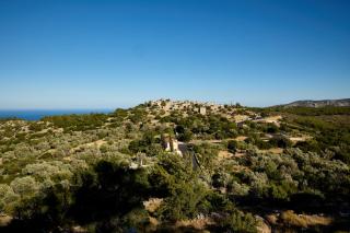 Avgonyma Square Nest - 3